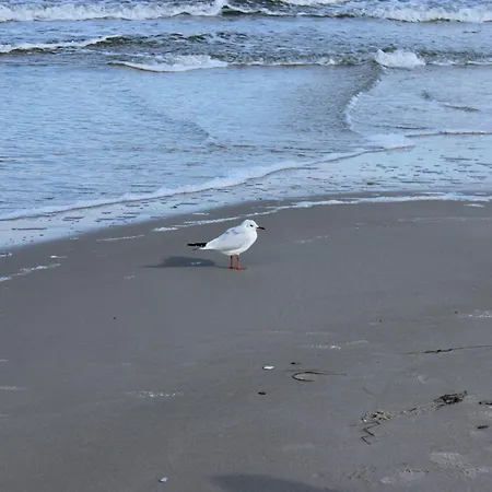 Prázdninový dům In An Der Ostseekueste Ruegens *