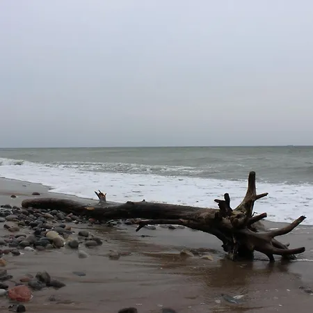 In An Der Ostseekueste Ruegens